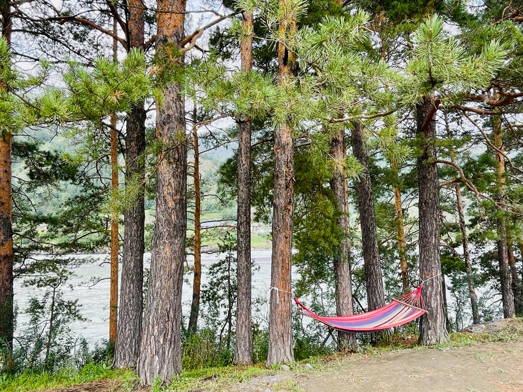 Фото Зеленые холмы