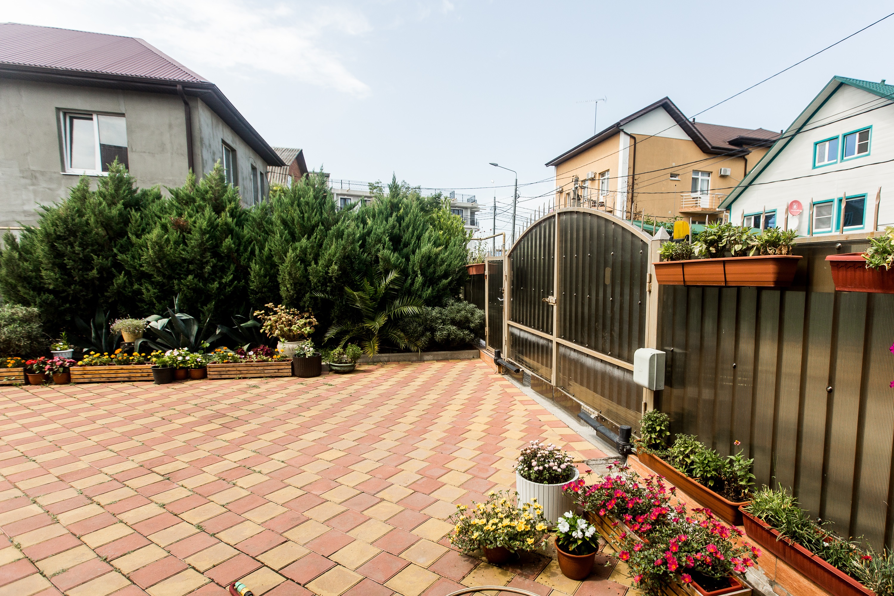 Фото Август