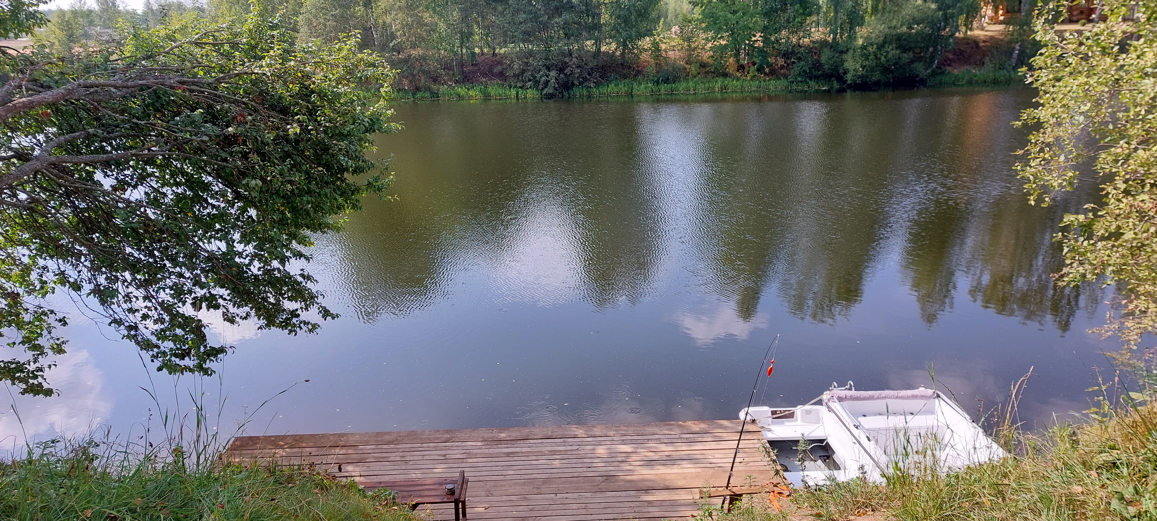 Фото Земляничная поляна