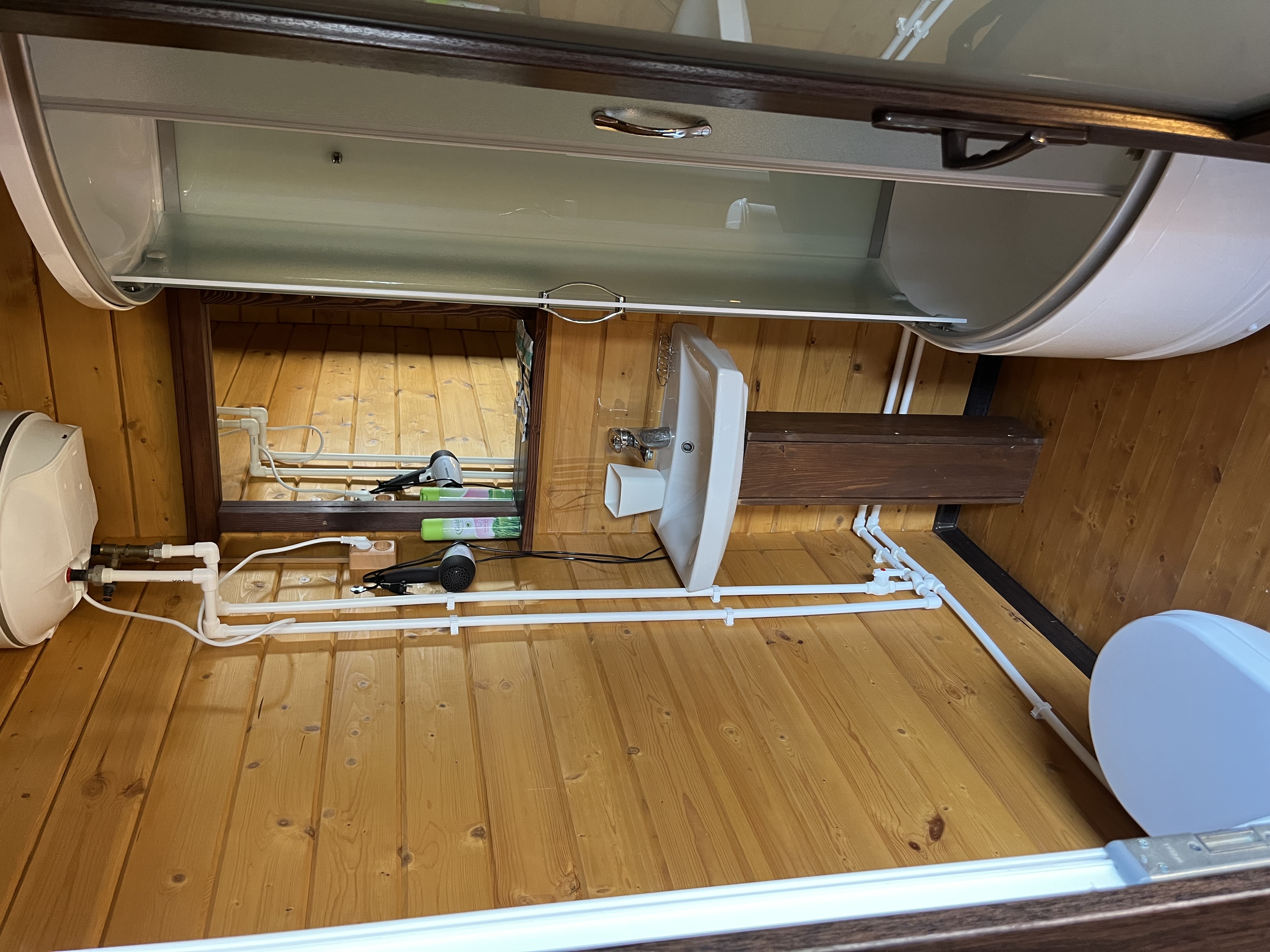 Фото Кактус