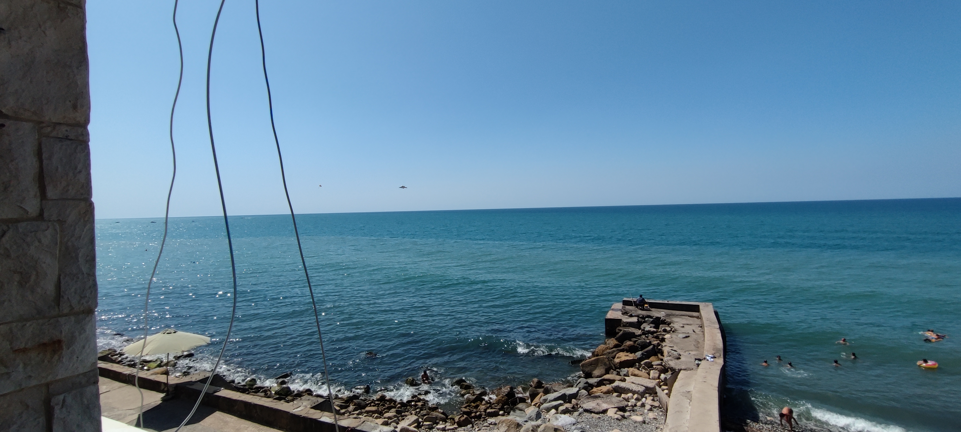 Фото Ариода