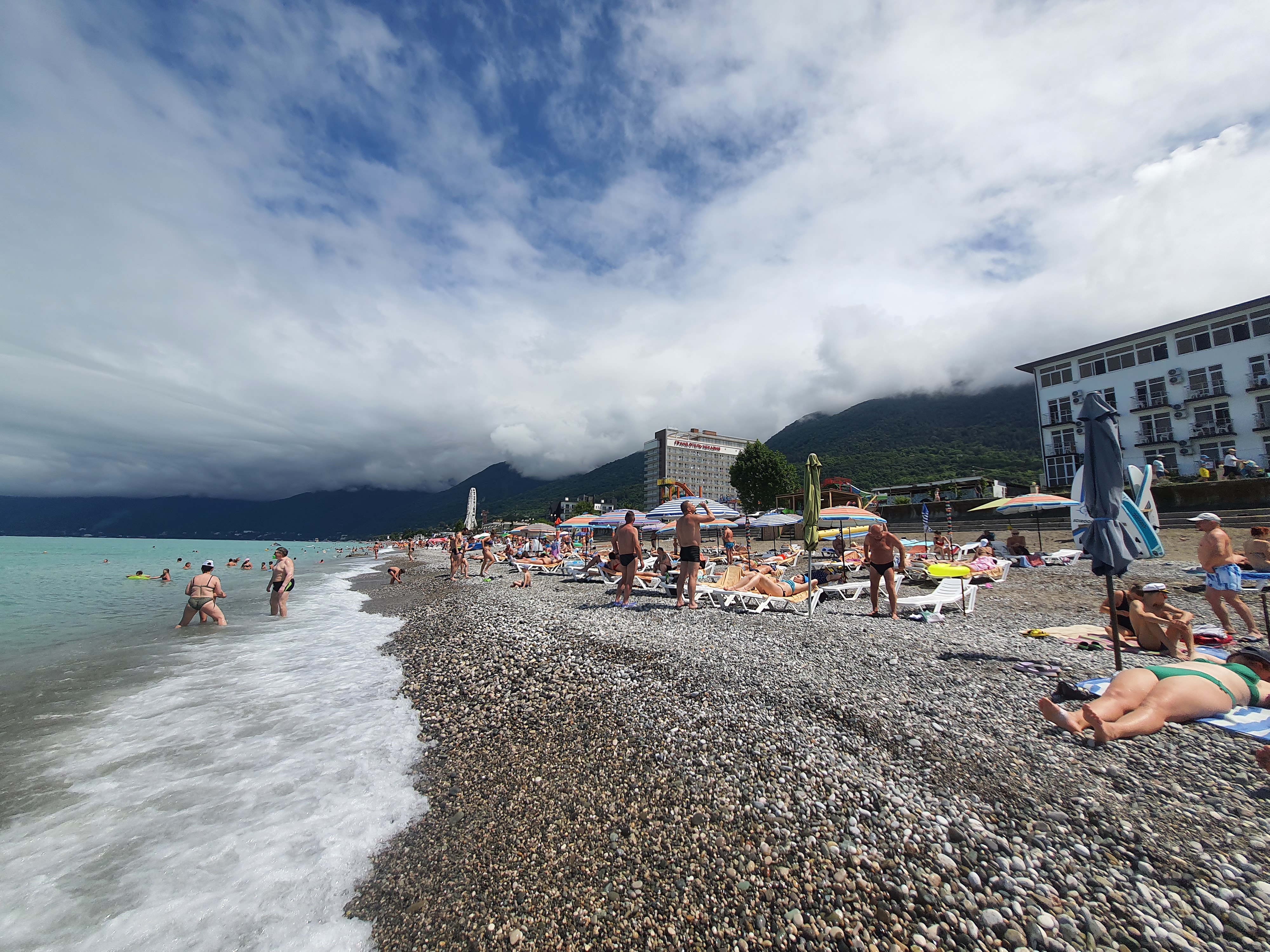 Фото Орхидея