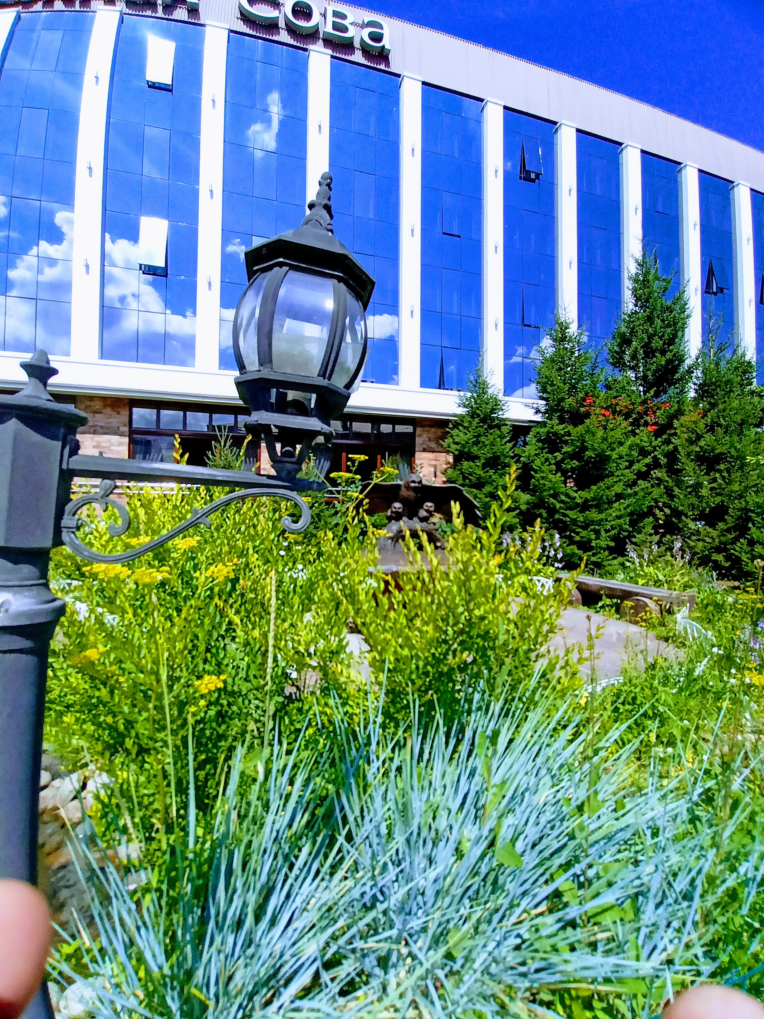 Фото Снежная сова