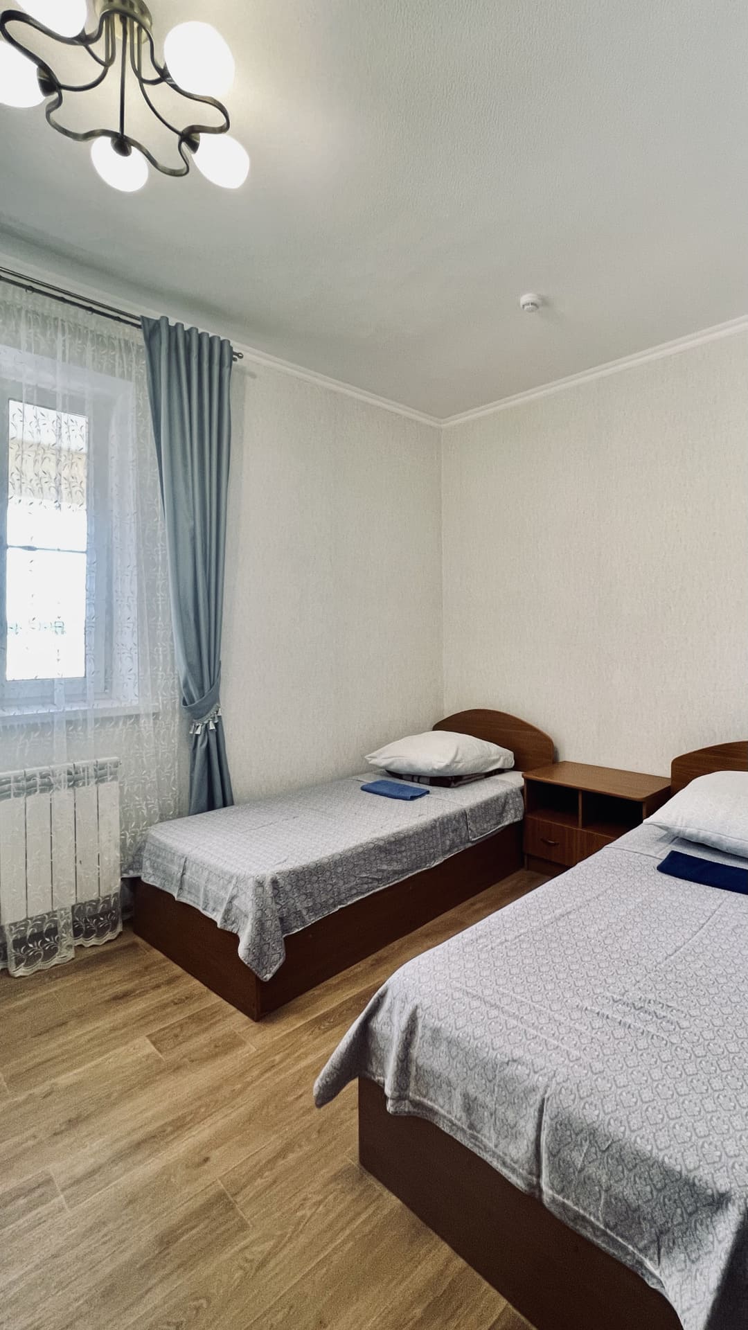 Фото Ласточка