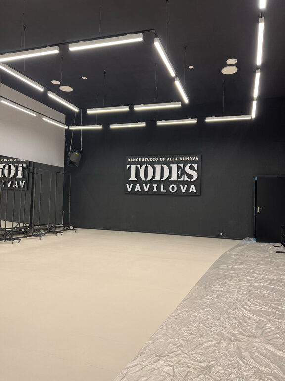 Todes ул вавилова 65 корп 1 фото
