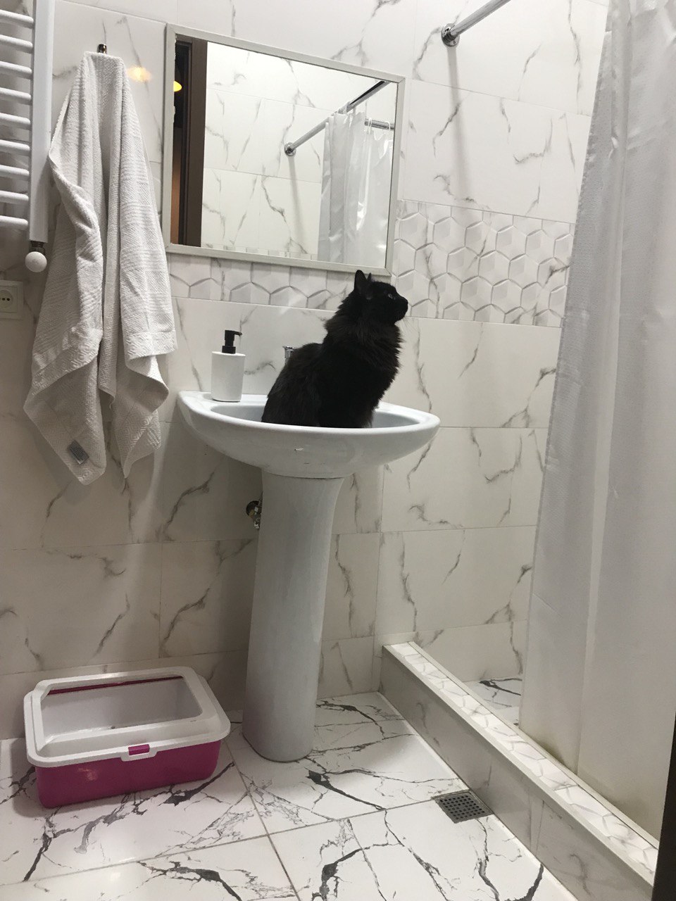 Фото Moosica Hostel