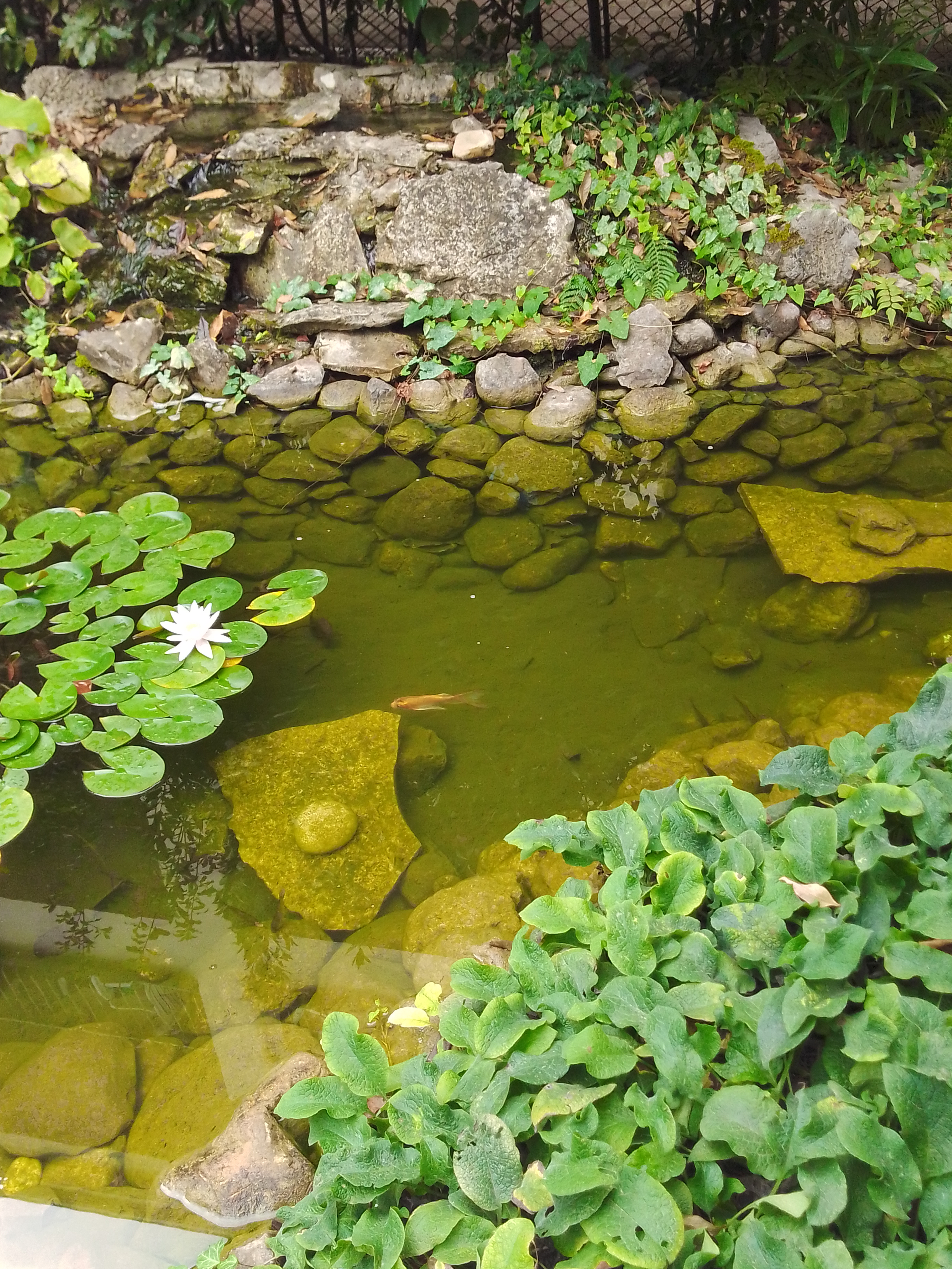 Фото Мини-гостиница Marco Club