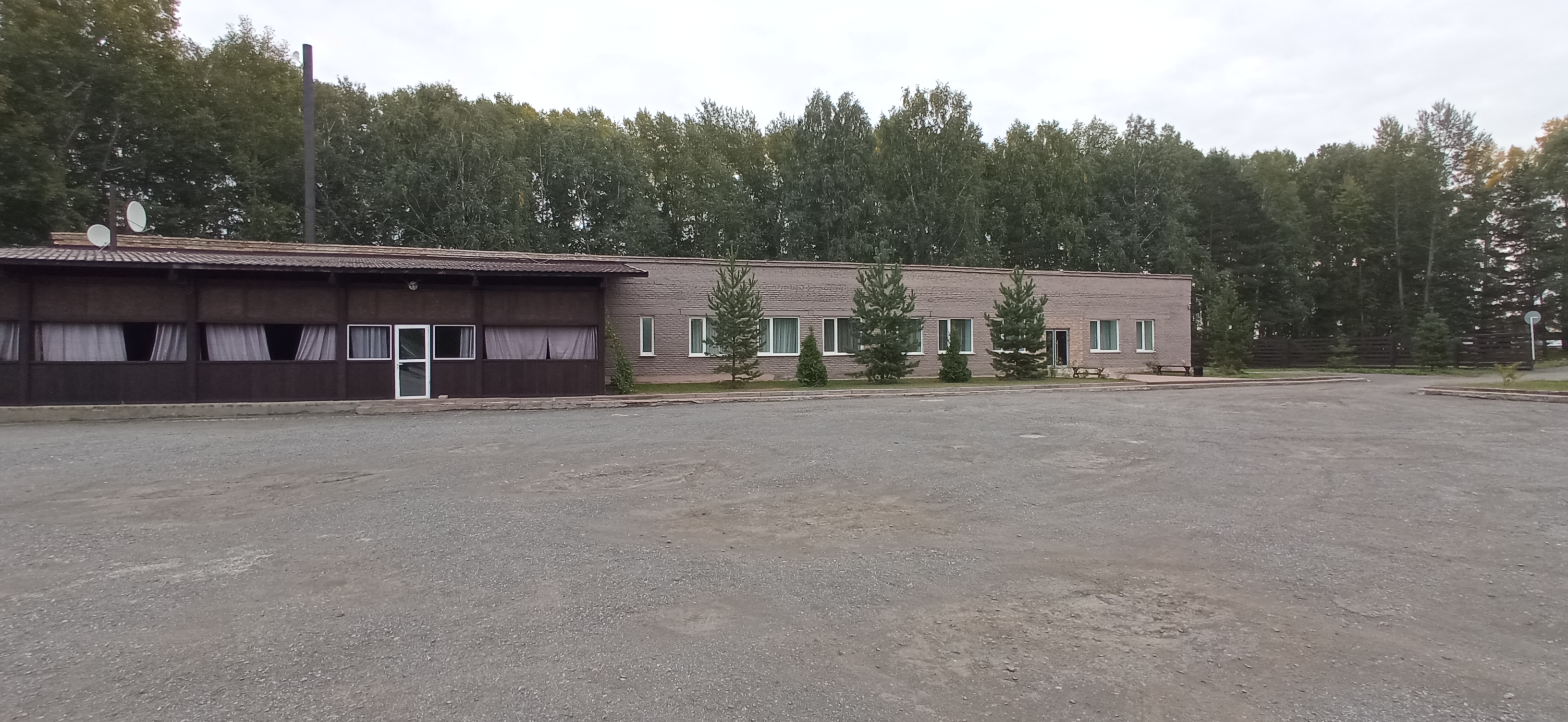 Фото Медведь