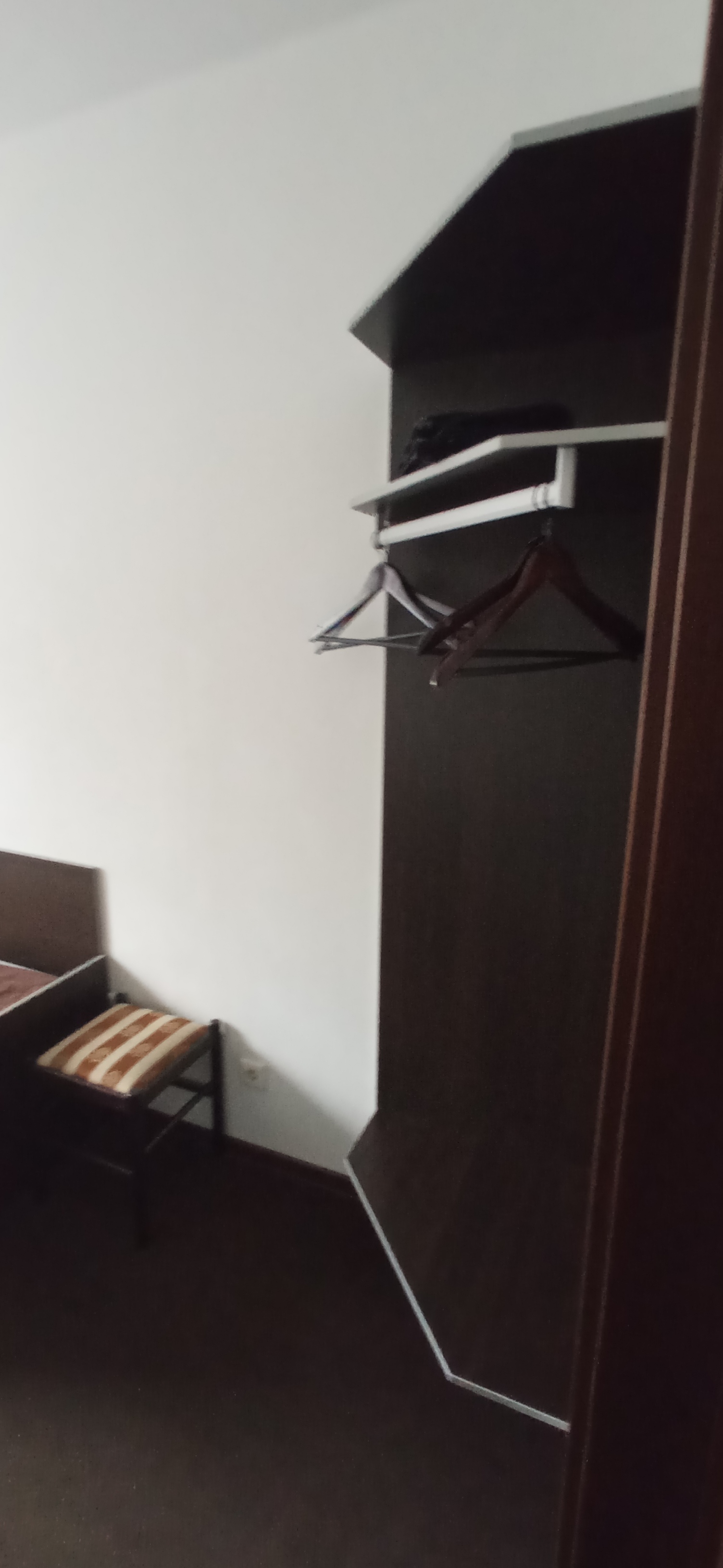 Фото Медведь