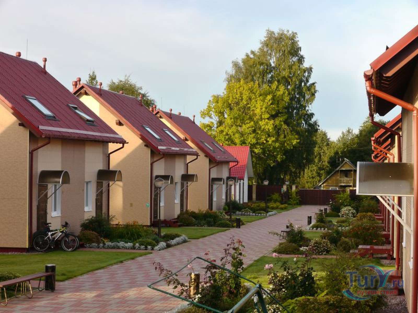 Фото Розовая дача