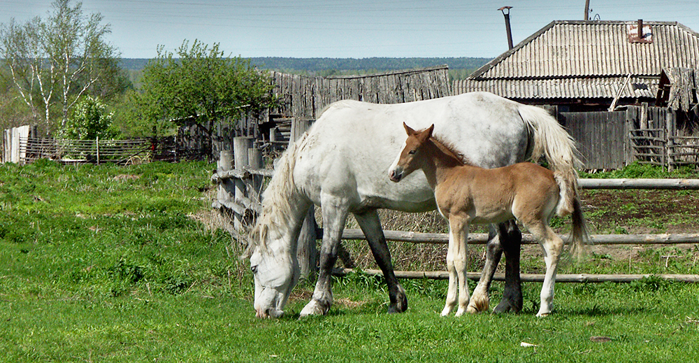 Фото Живое Окунево