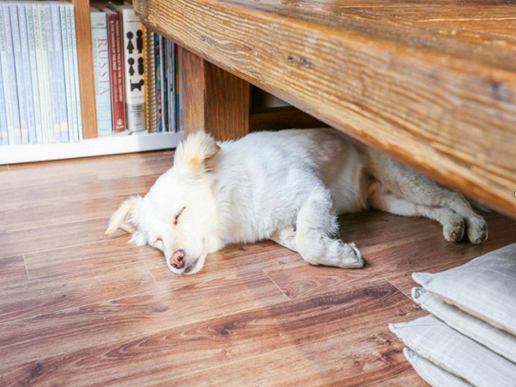 Фото Dalzip Bukchon Hanok Guesthouse