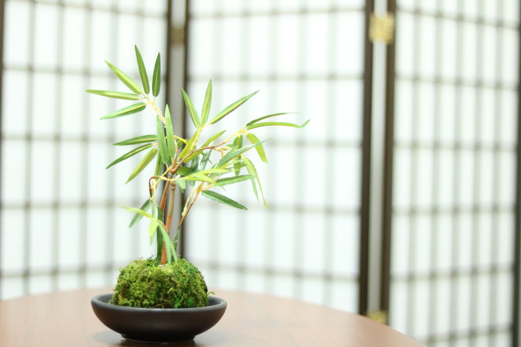 Фото Hg Cozy Hotel № 2