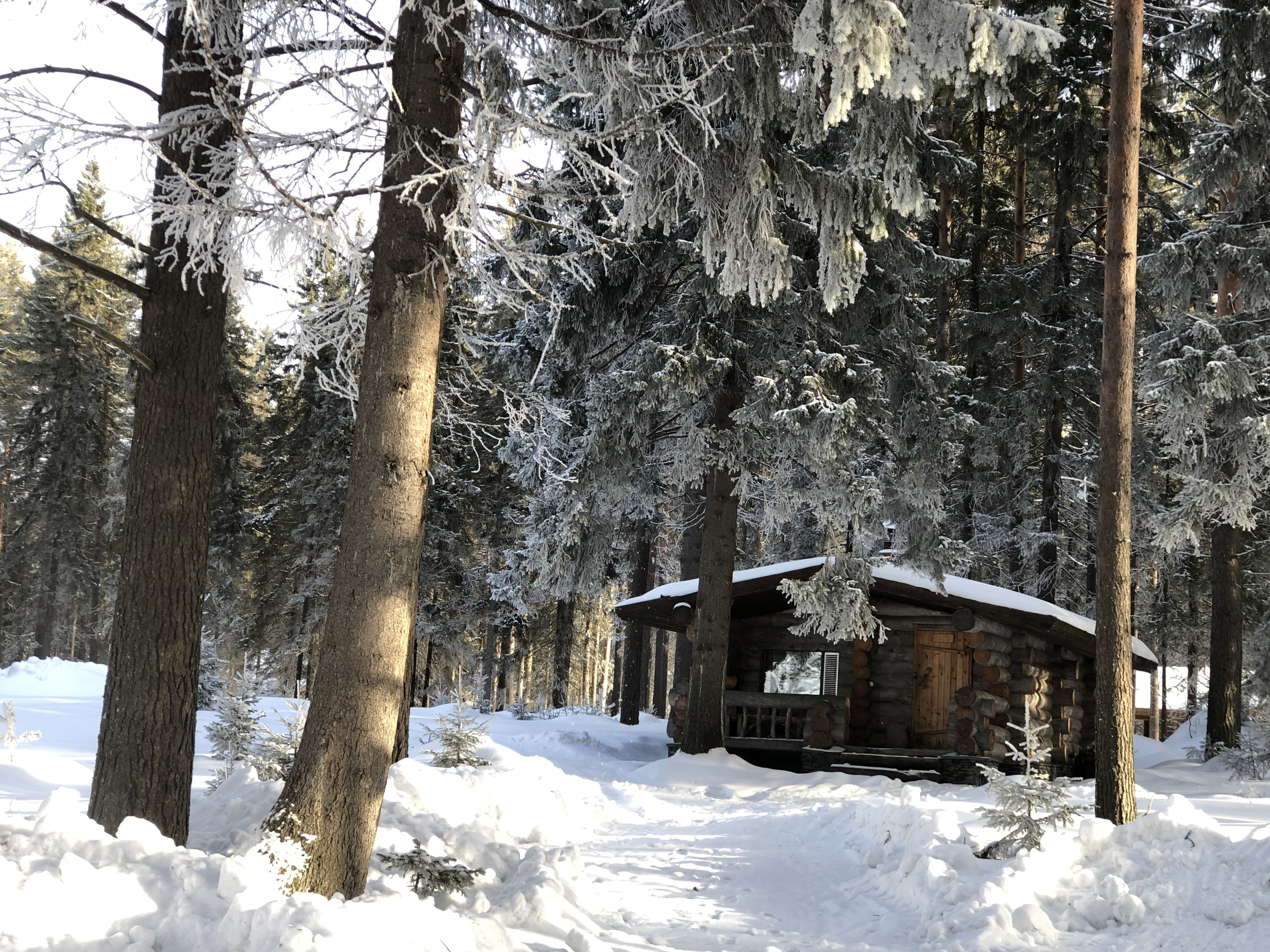 Фото Карелия Медвежка