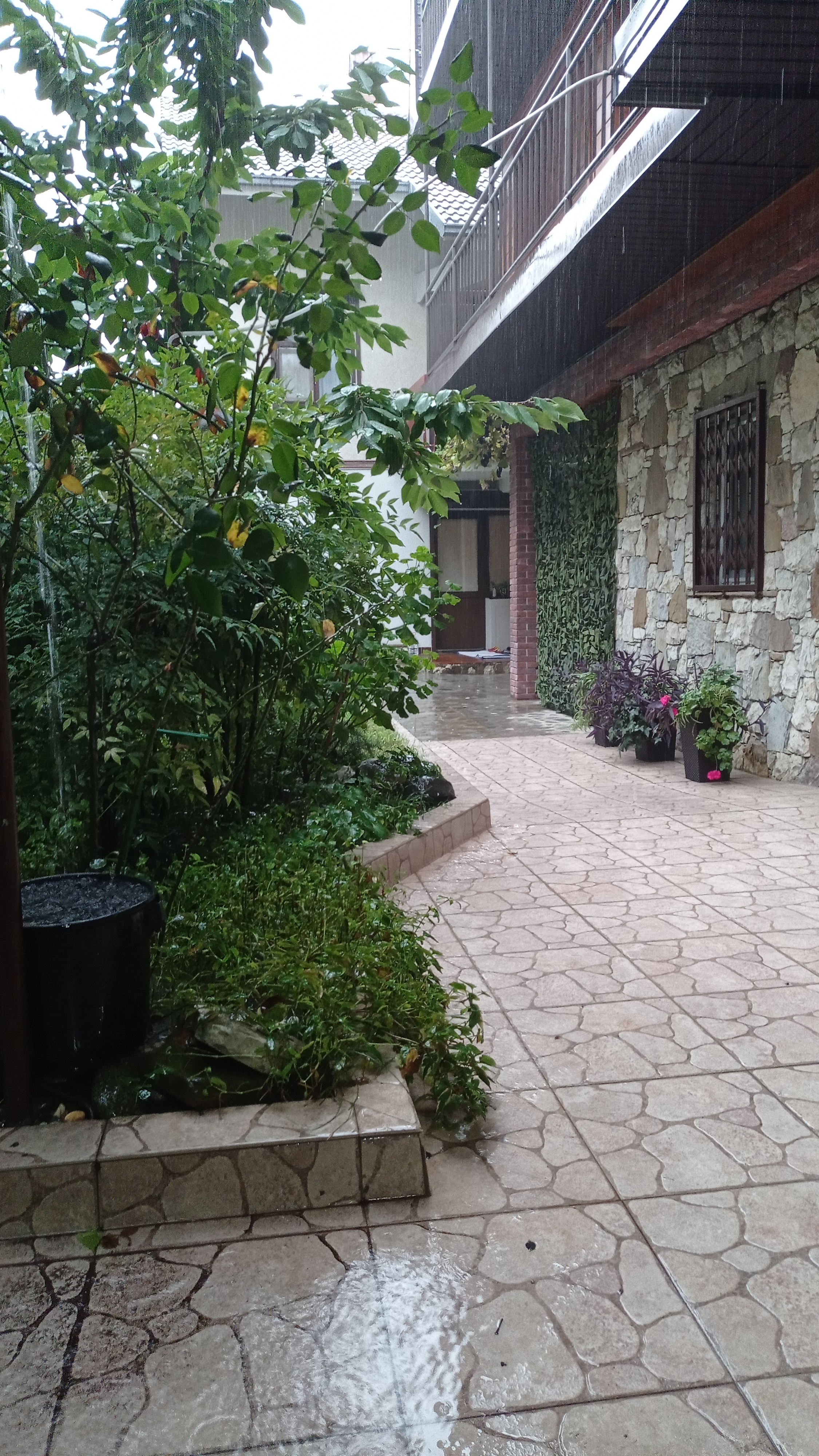 Фото Алфавит