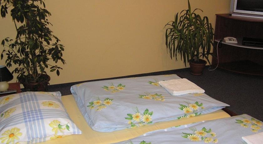 Фото Penzion pri Kastieli Betliar