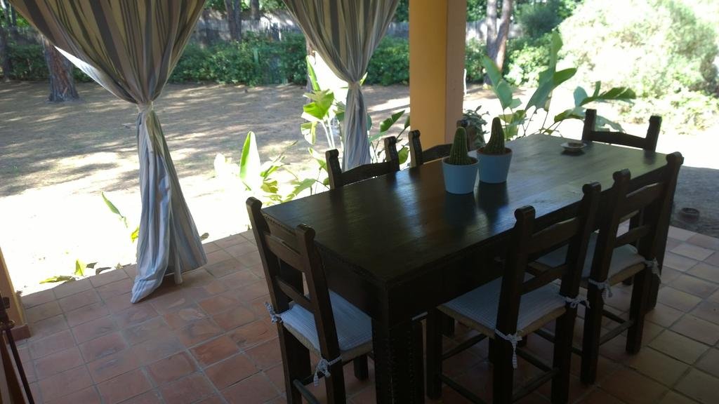 Фото B&b Helichrysum