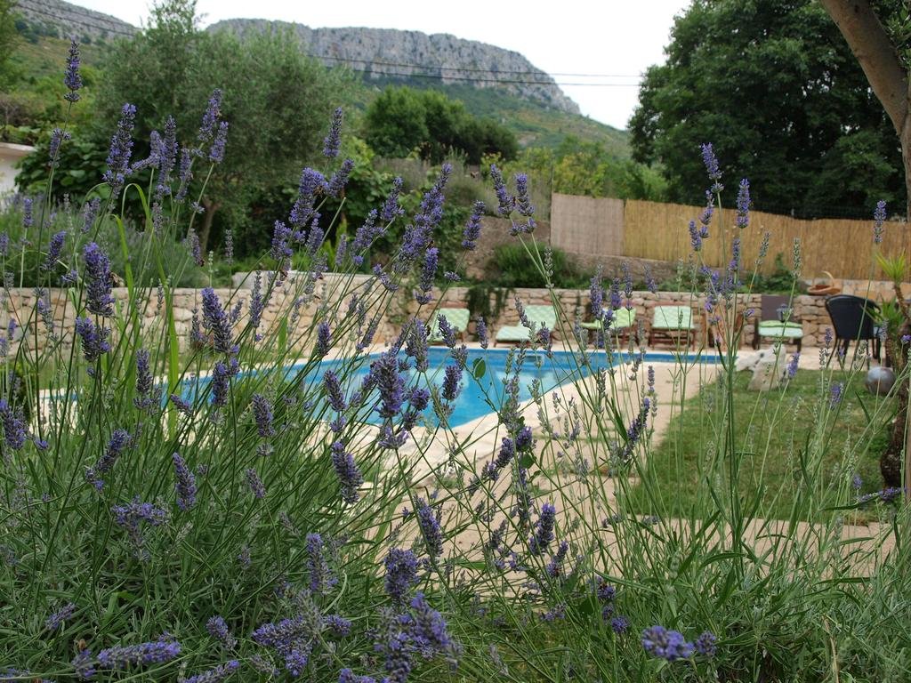 Фото Villa Pool Mansion Salonae