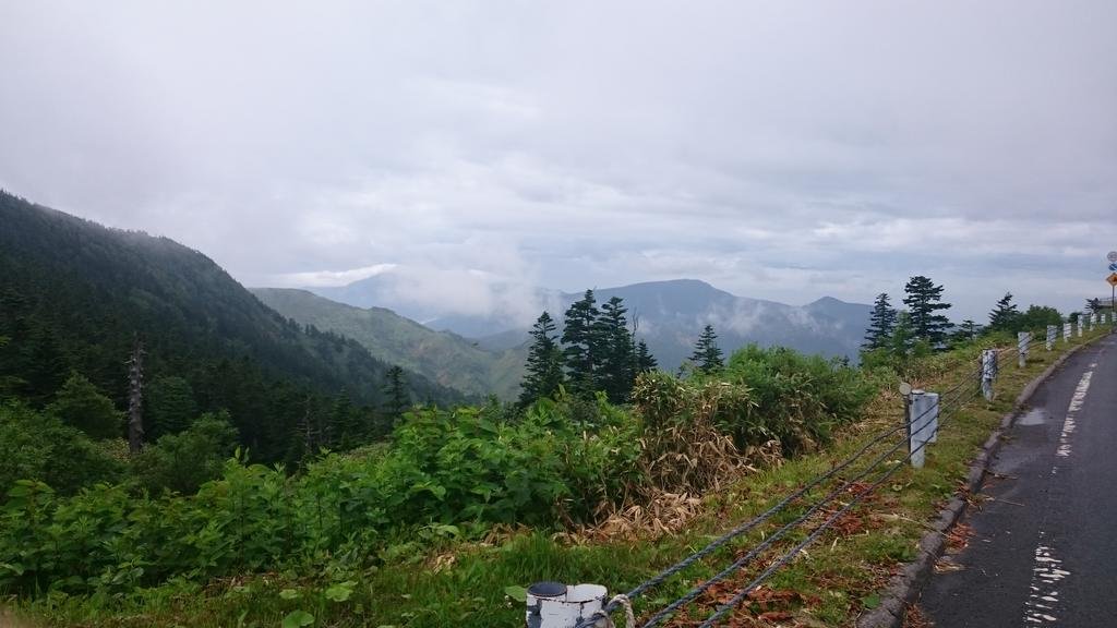 Фото 181965387168