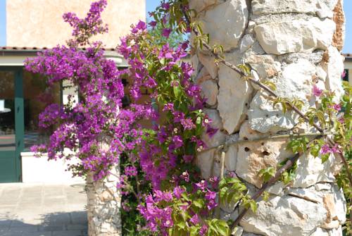 Фото Tenuta Specolizzi