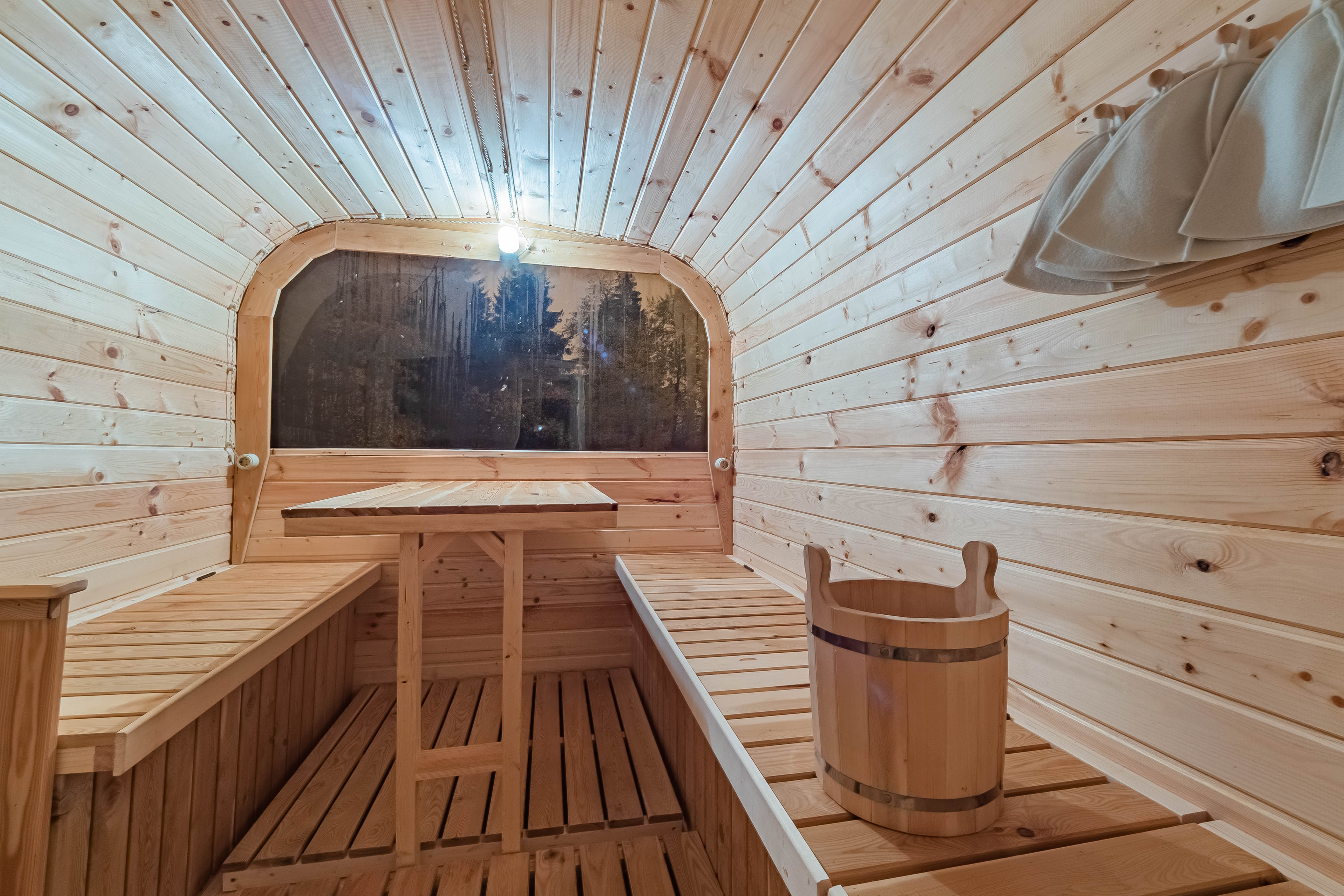 Фото Pine Forest