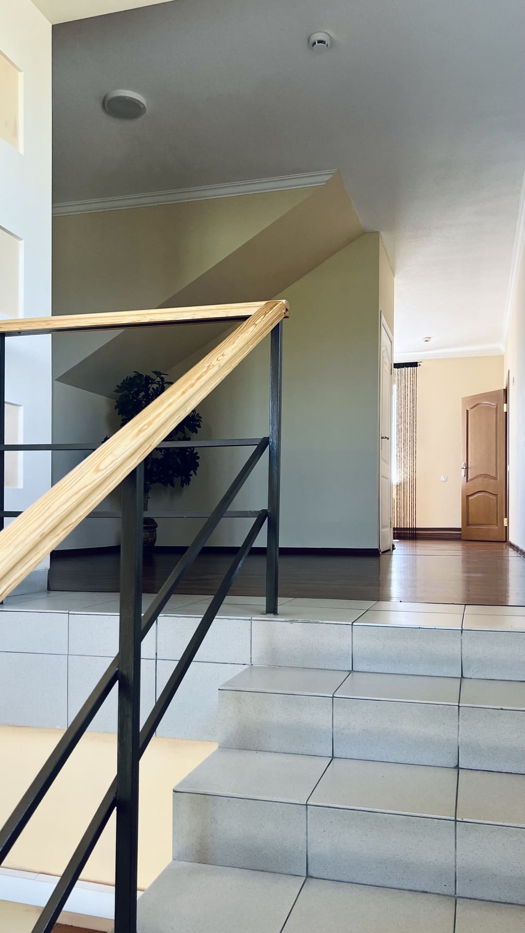 Фото Ласточка