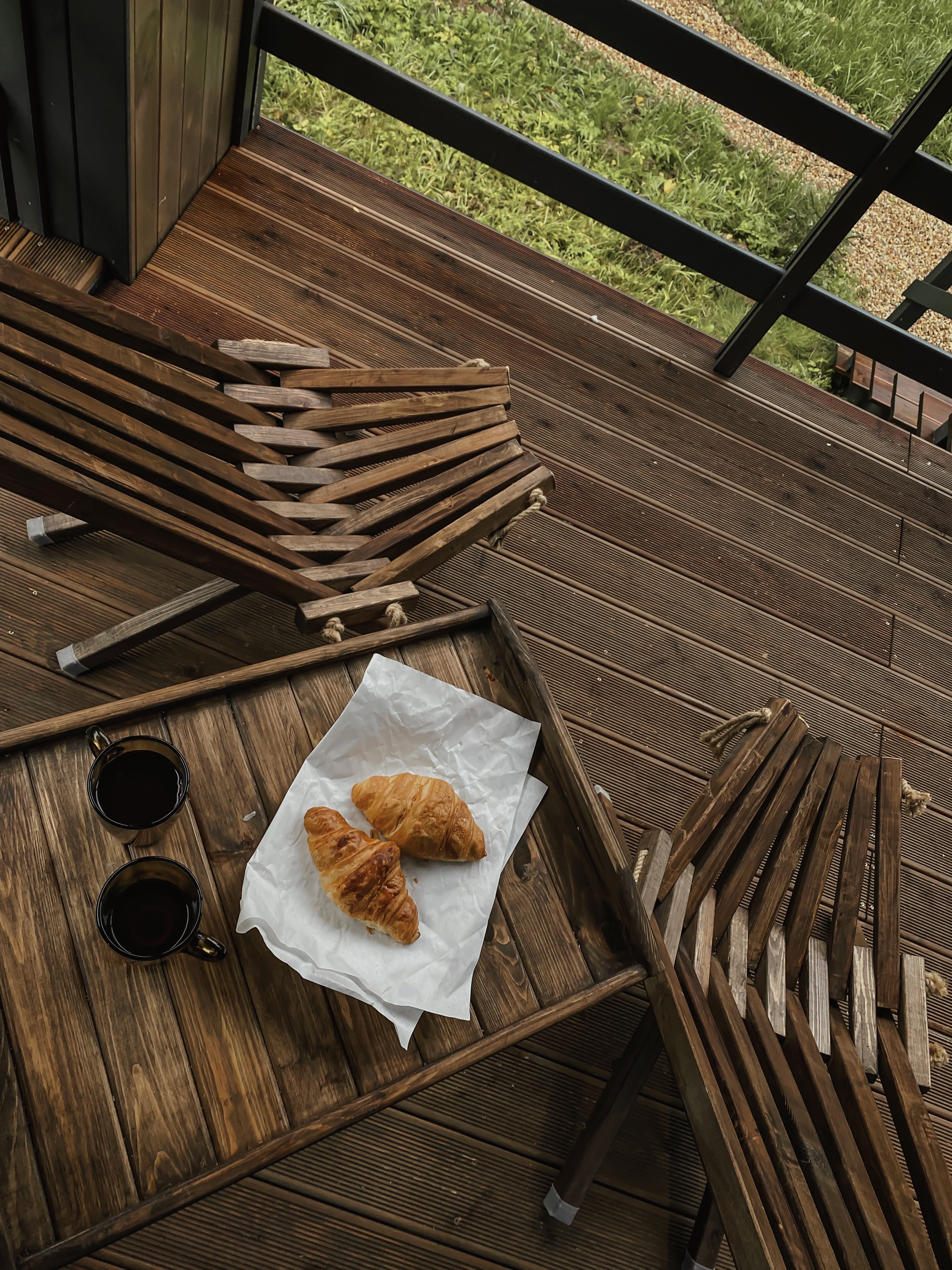 Фото Pine Forest