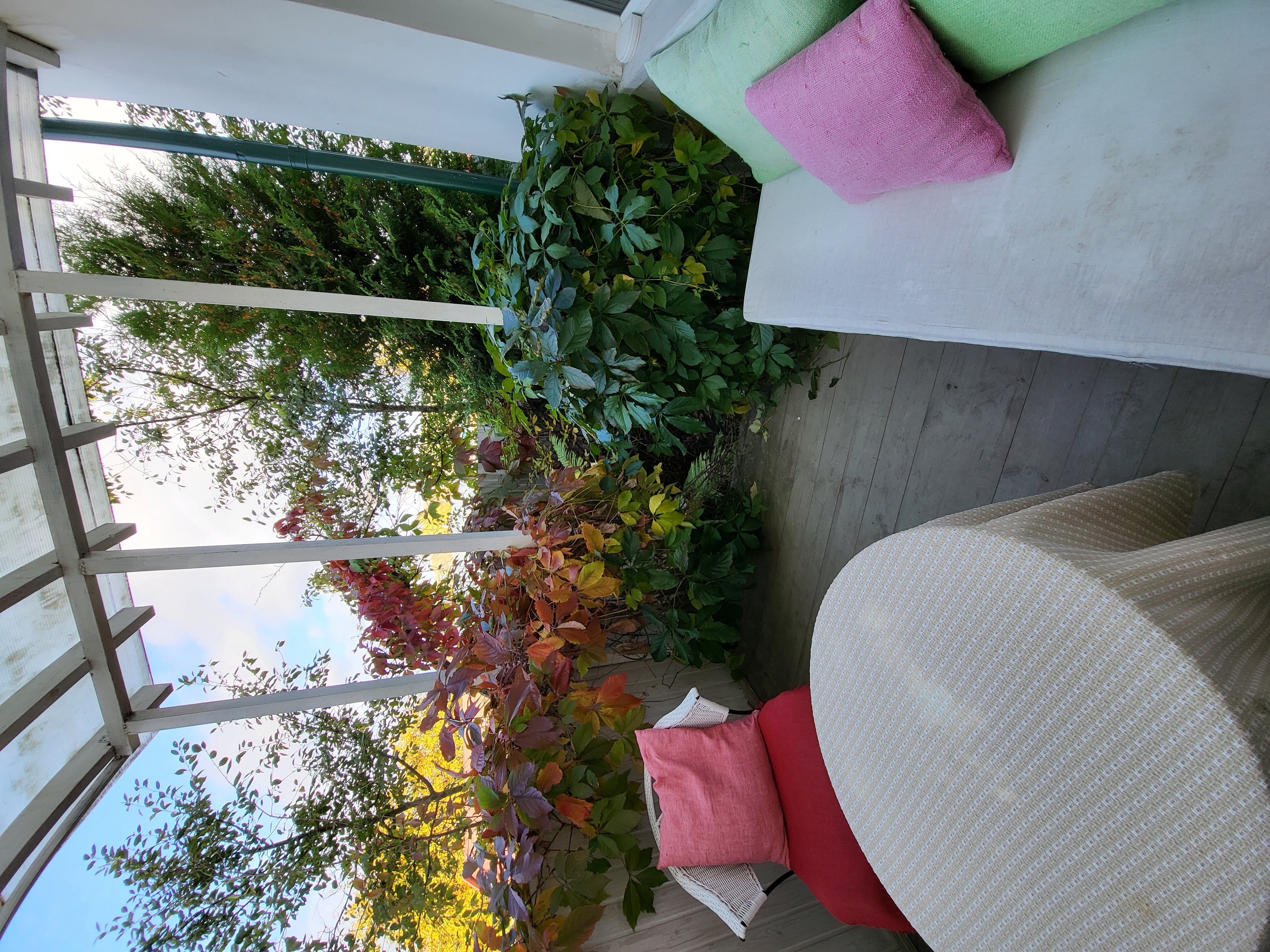 Фото Вишнёвый сад