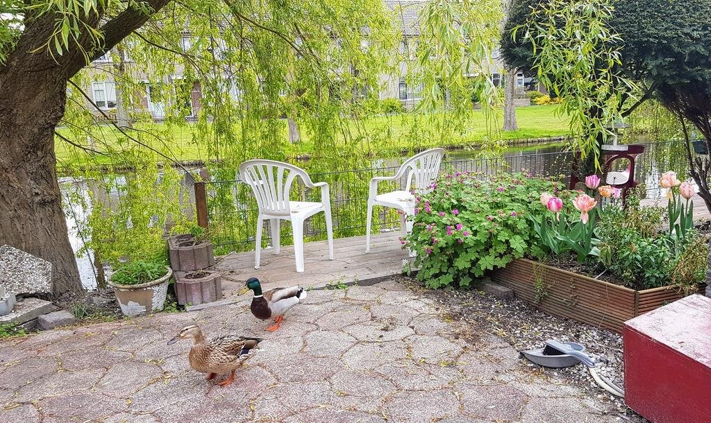 Фото Laag Holland Bed EN Breakfast