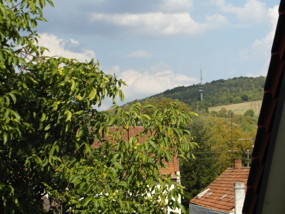 Фото Ratskeller Lauda