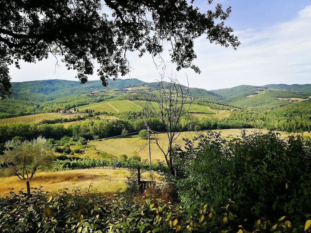 Фото Il Paggino Chianti Accommodation