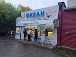 Океан (Molodyozhnaya ulitsa, 6), fish and seafood