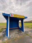Осиновка (R-25), public transport stop