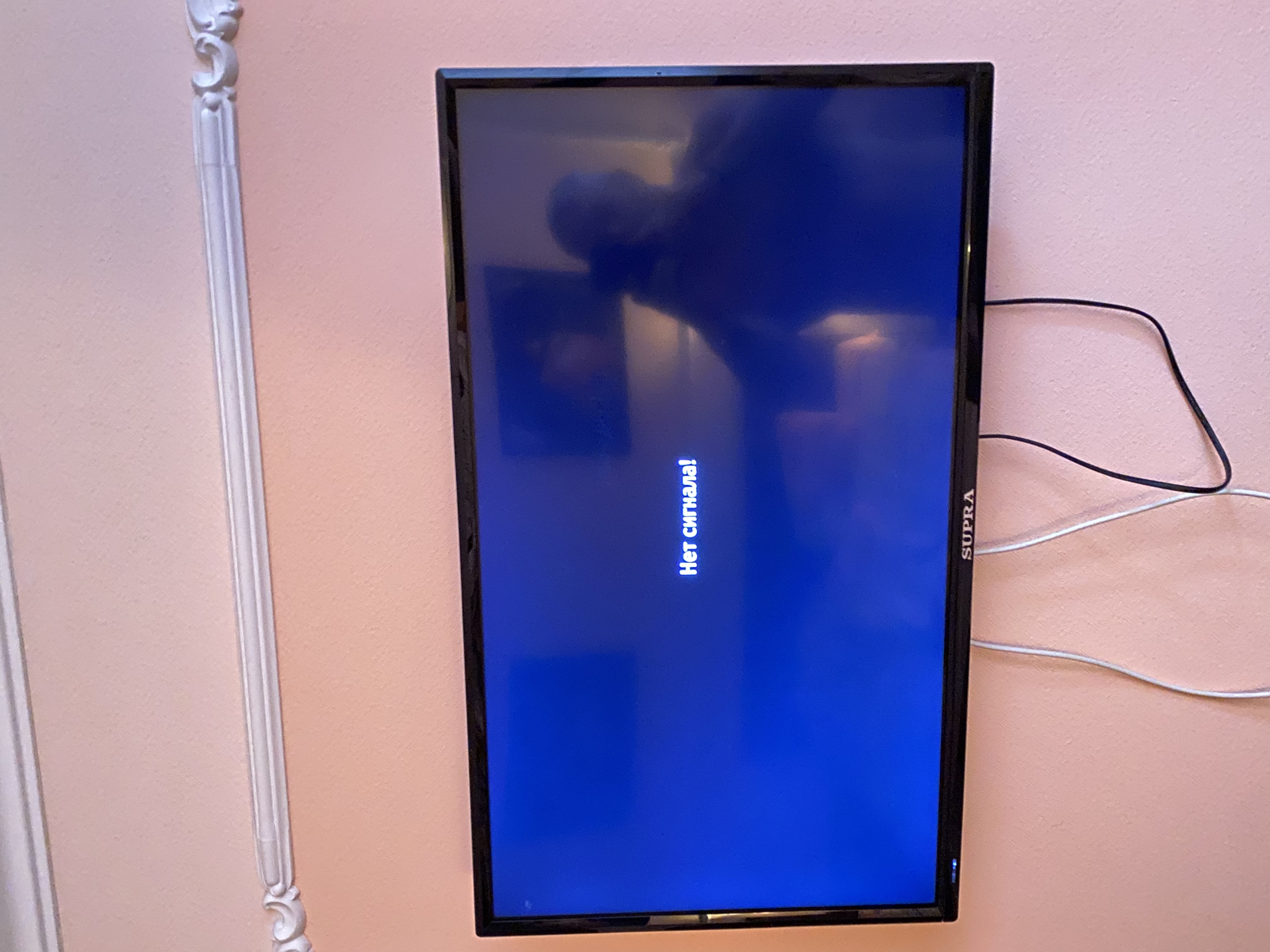 Фото Юность