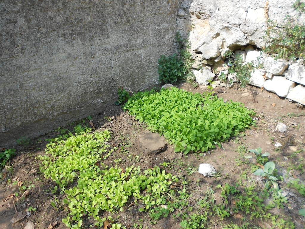 Фото Villa Victoria