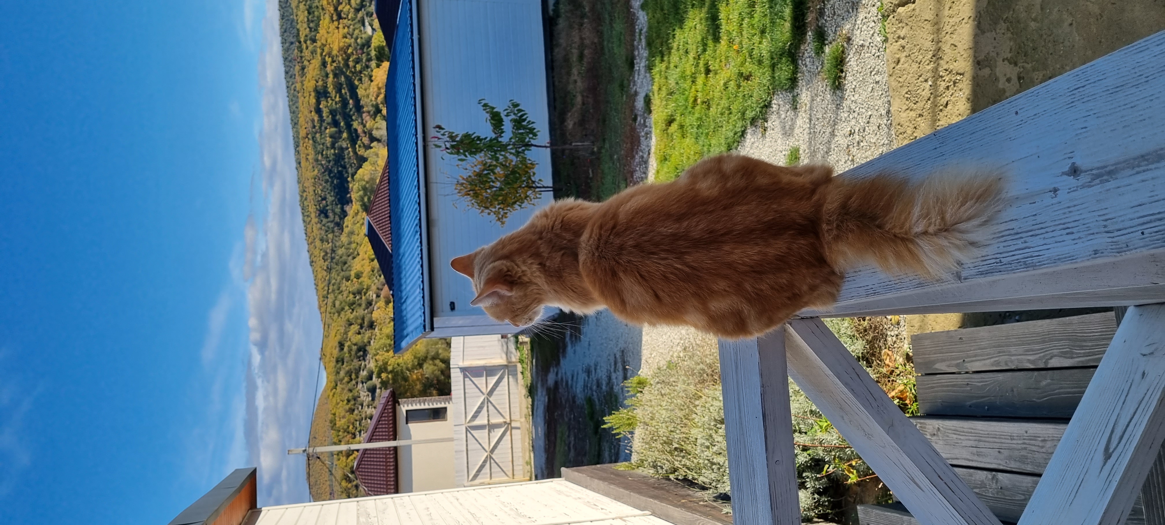 Фото Villa Scandi