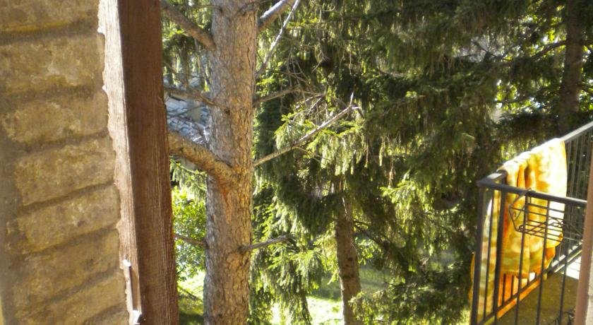 Фото 163816435258