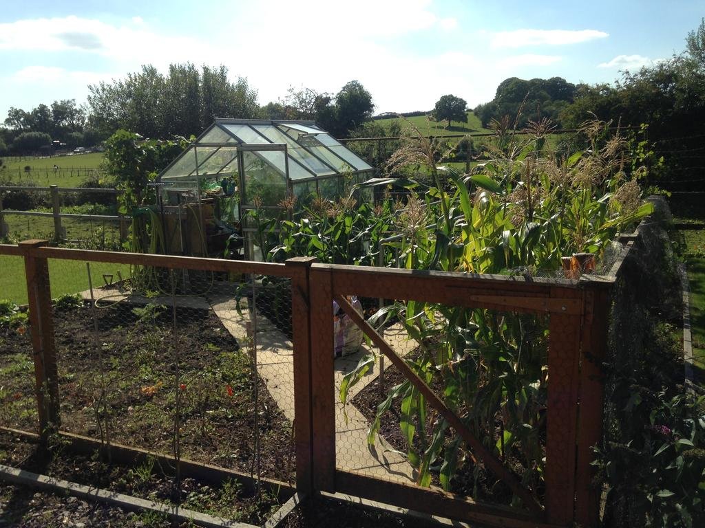 Фото Cripple Creek Bed And Breakfast