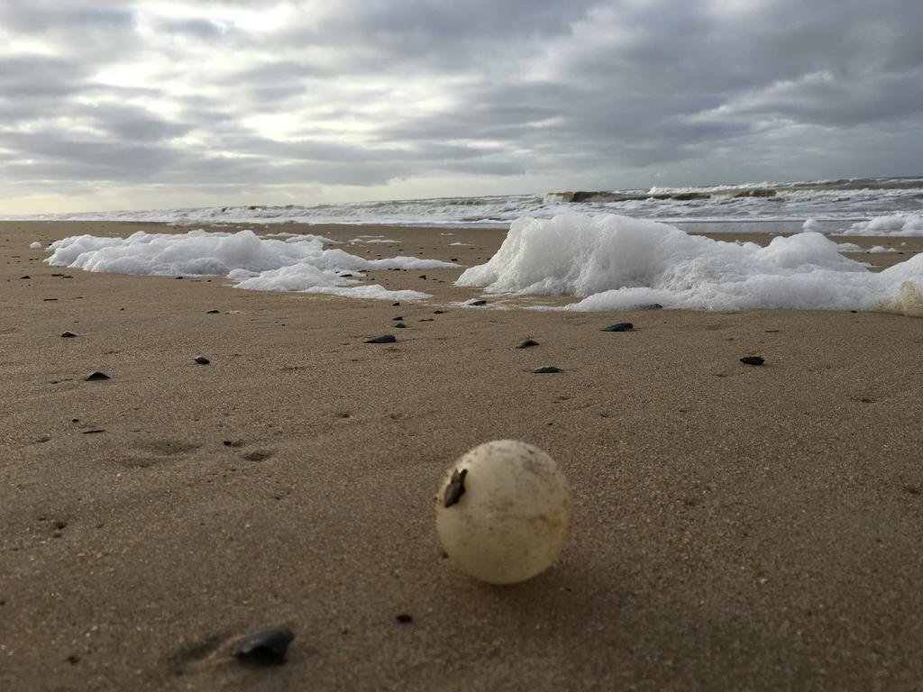 Фото Hotel Marbella