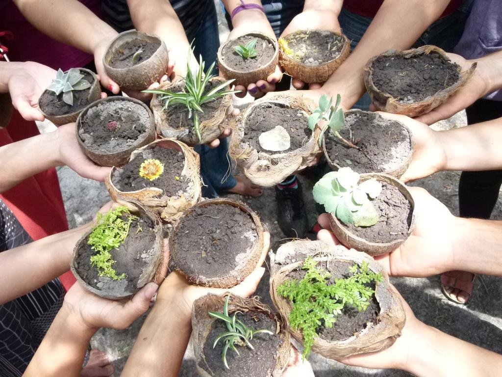 Фото Ilha de Mato