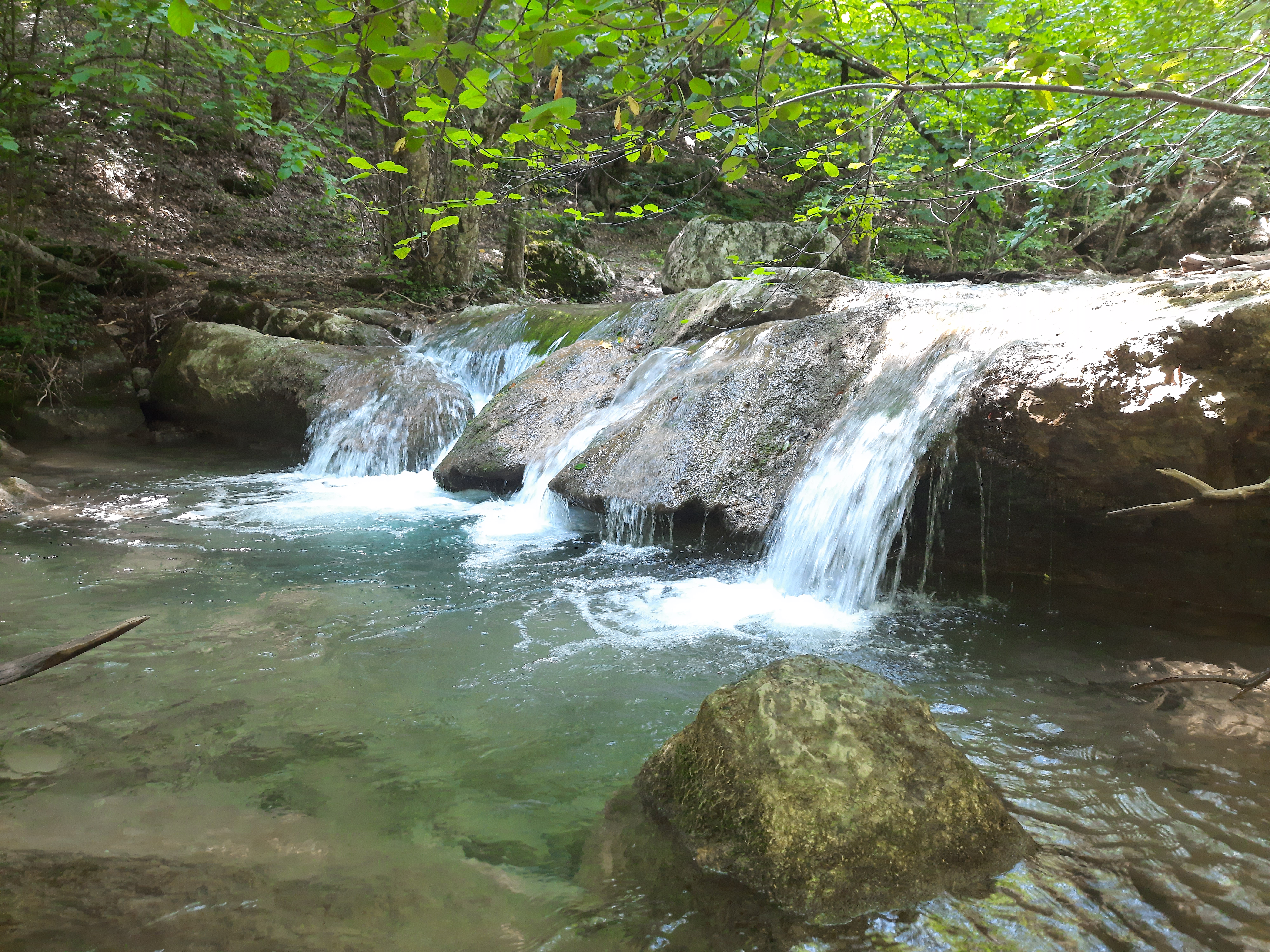 Фото Four sisters