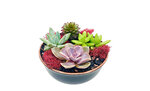 Fat Leaf Delivery (United States, Pflugerville, 612 Catumet Dr), flowers and bouquets delivery