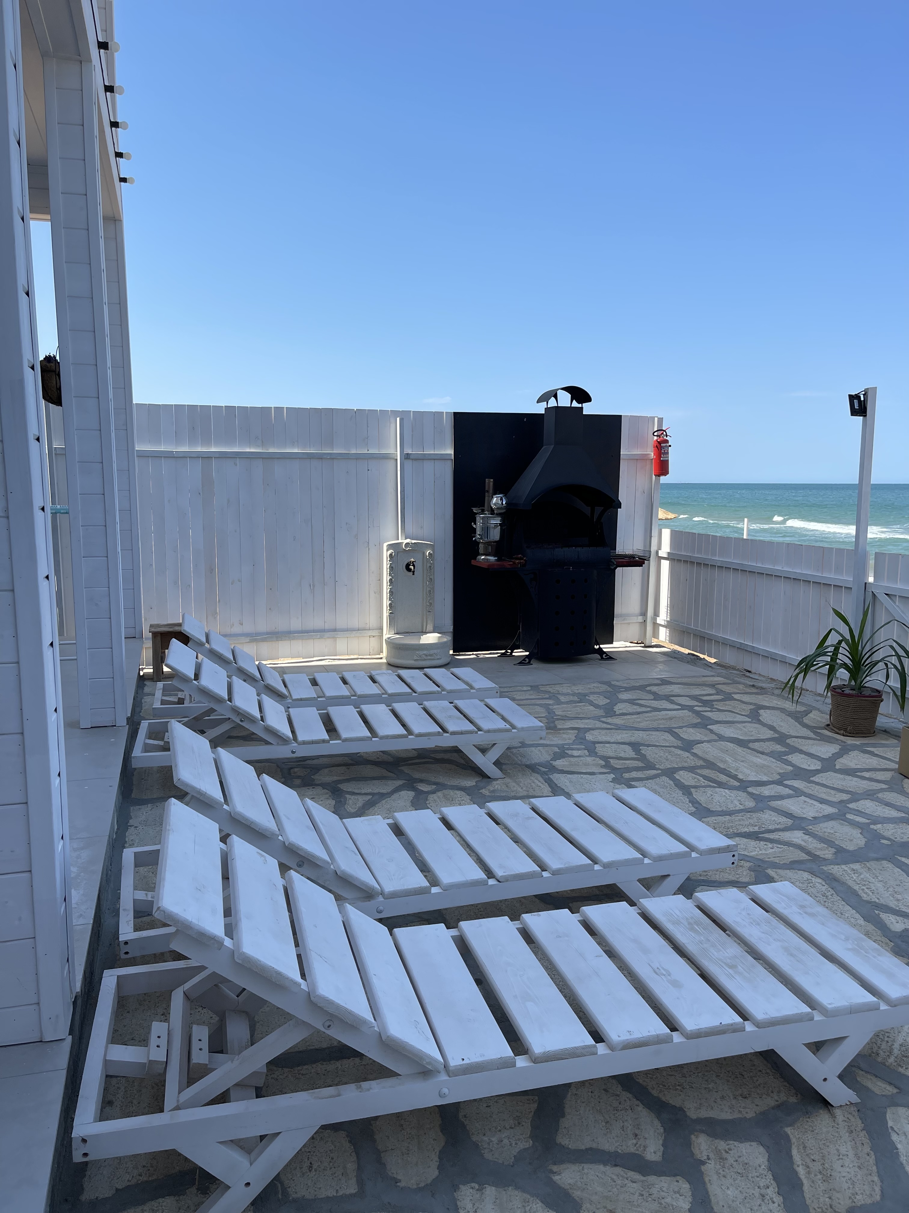 Фото Белый кит