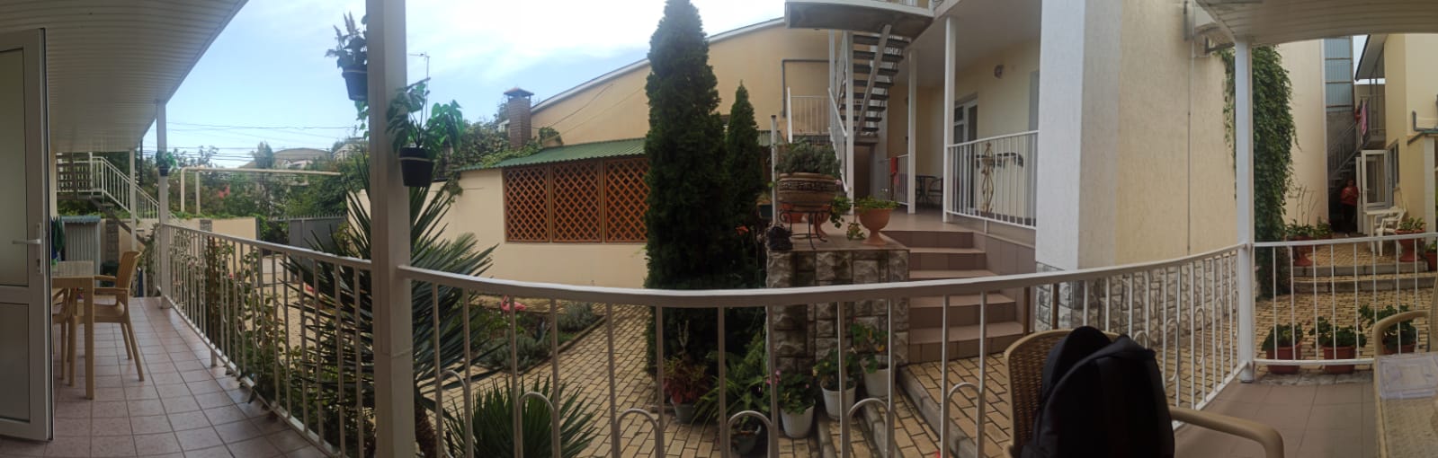 Фото Фламинго