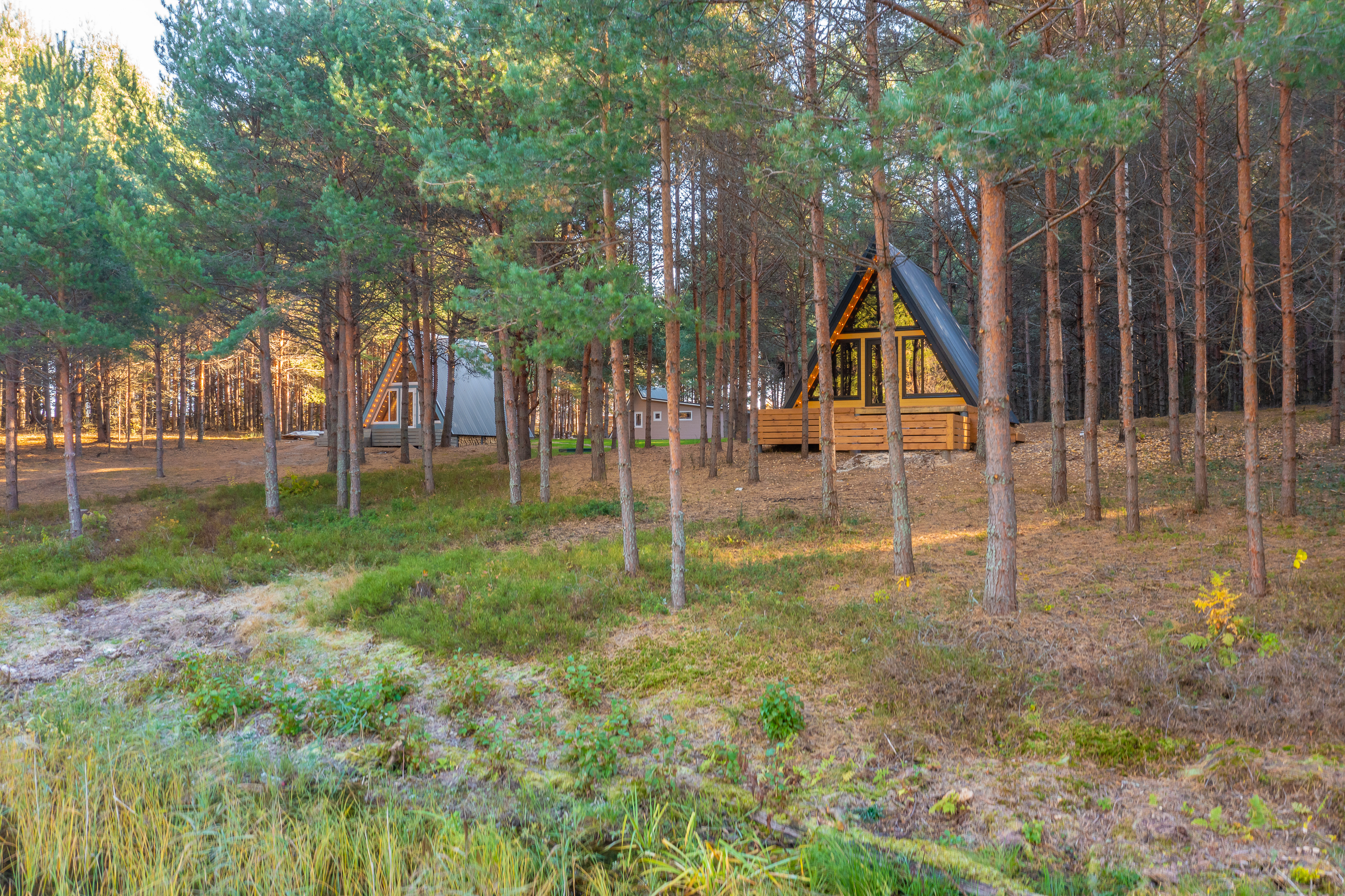 Фото КэмпФалькон