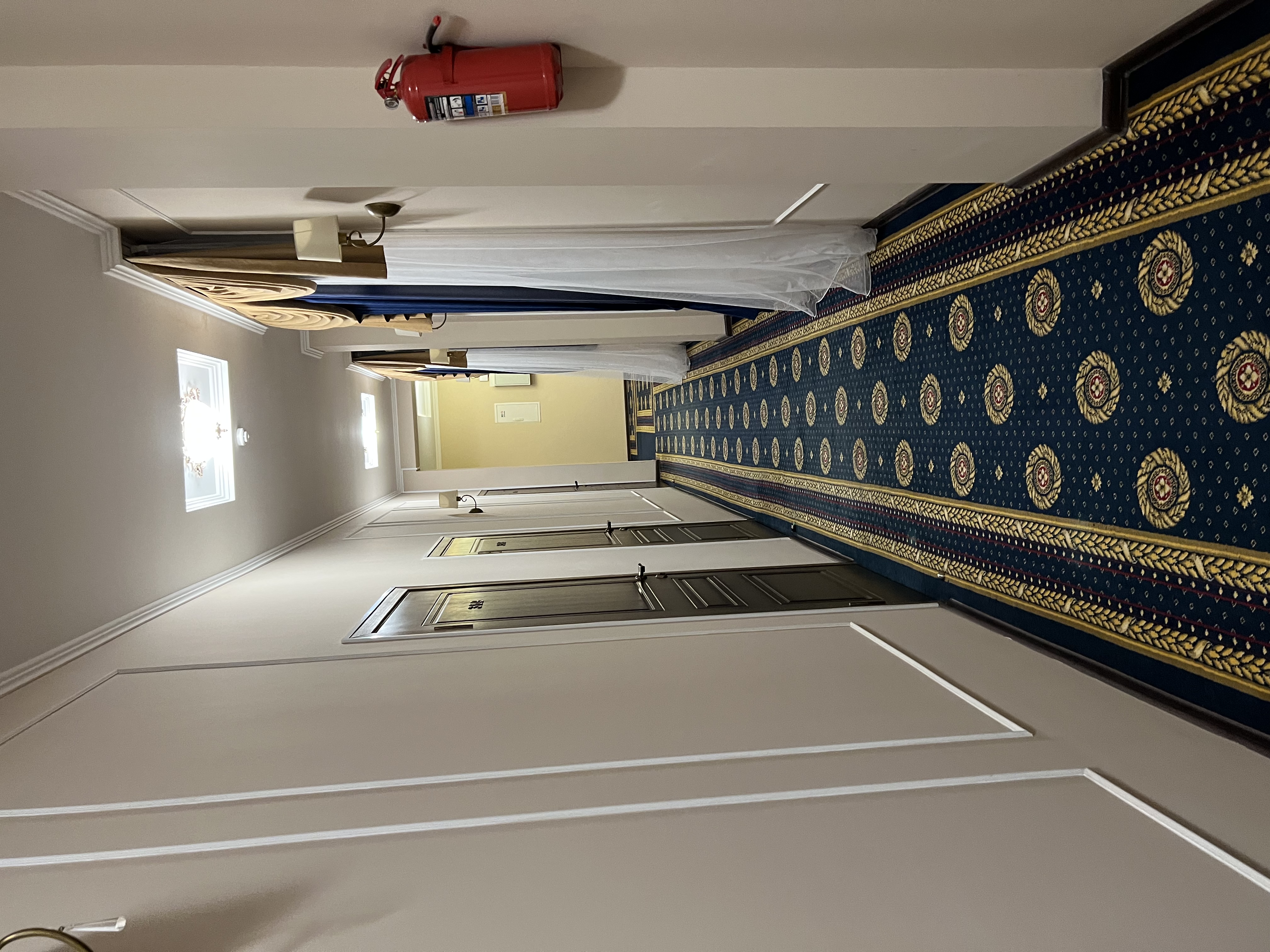 Фото Диоскурия