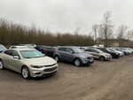 Light Auto Car Dealership (Moskovskoye Highway, 318Г), exposición de coches