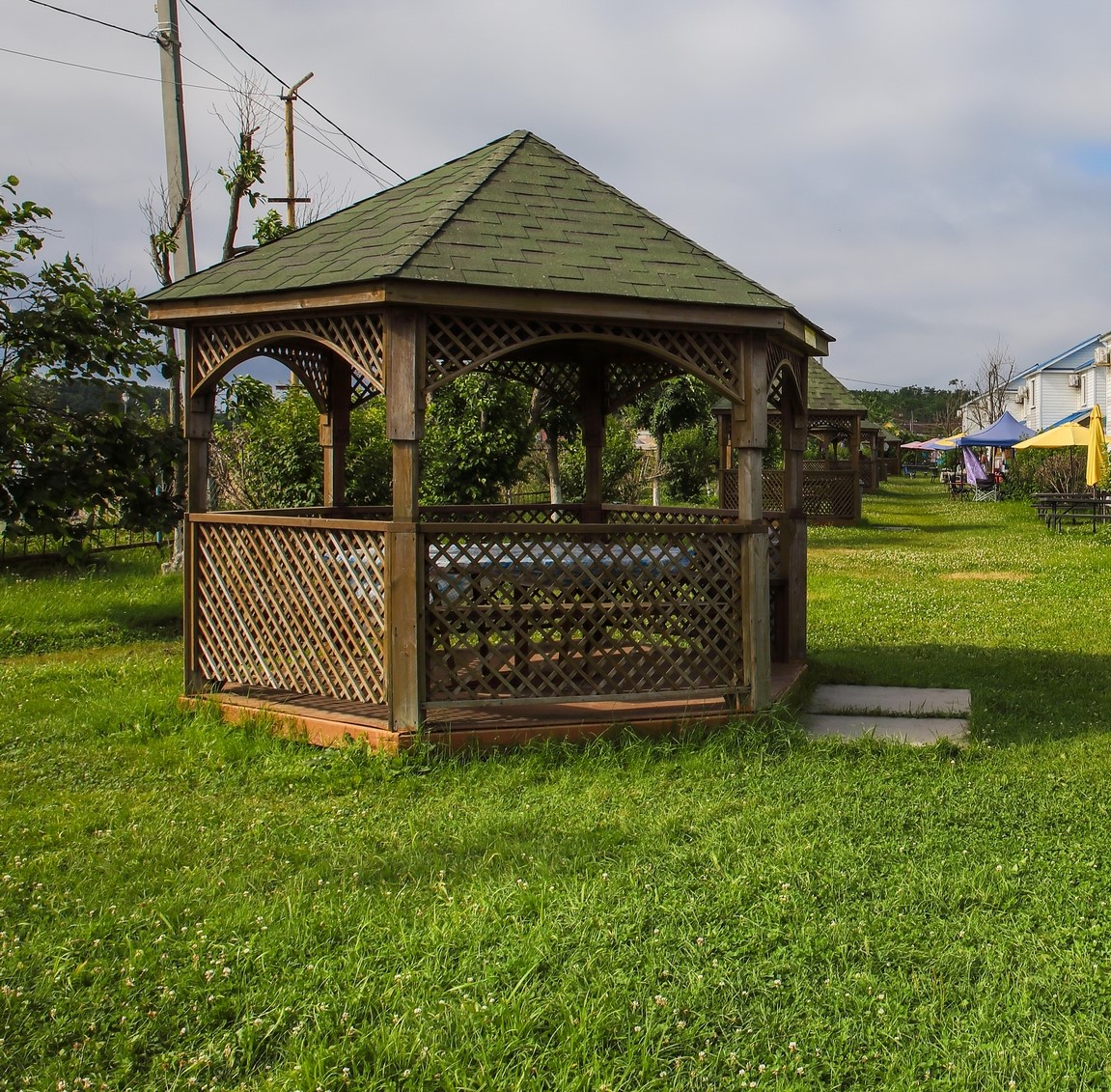 Фото Звезда моря