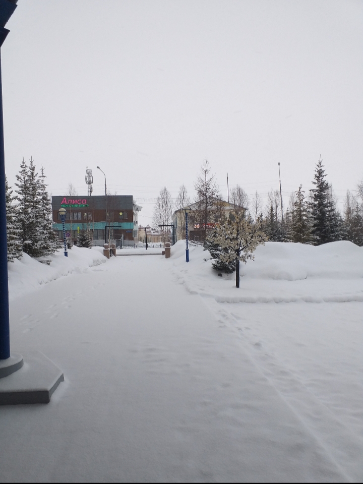 Фото Семь лиственниц