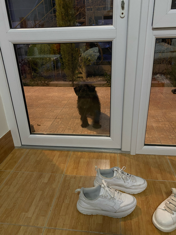 Фото Софита